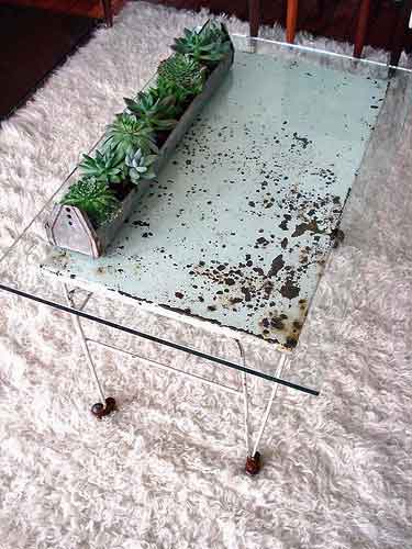 [coffee+tablesucculentsAT.jpg]