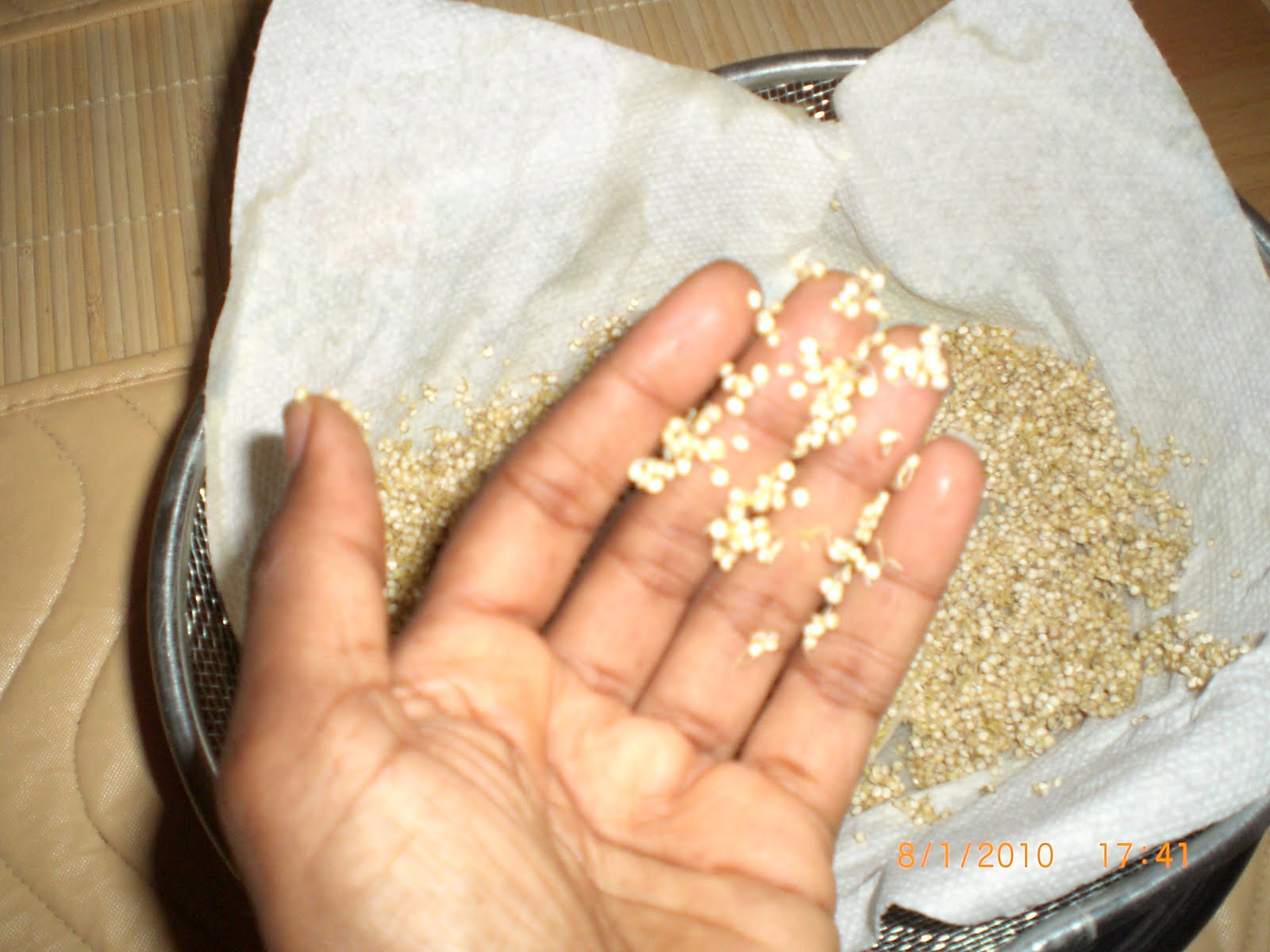 How Do Raw Food Eaters Get Protein How Do Raw Food Eaters Get Protein