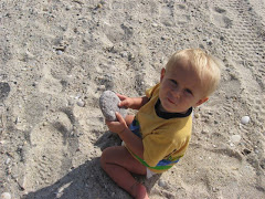 Rock Searching At The Beach
