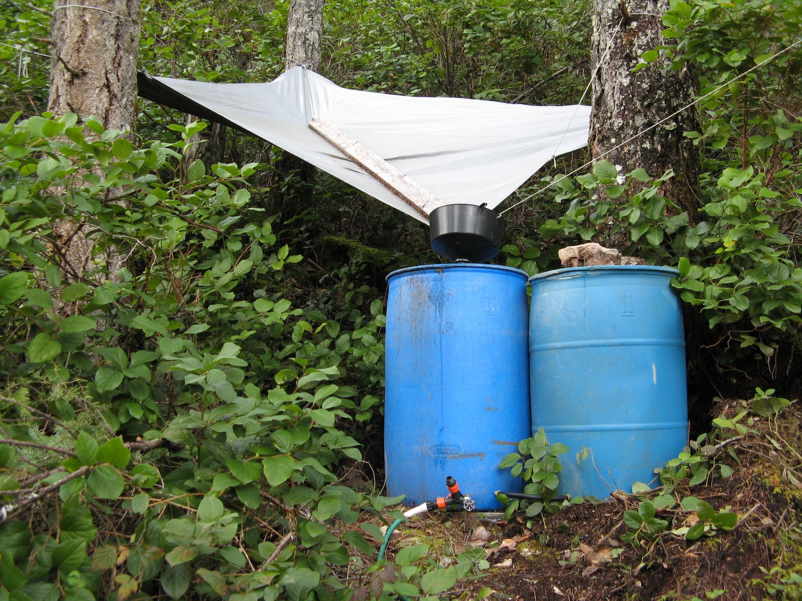 Powell River Books Blog Rain Barrel Water Collection System