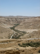 The Negev