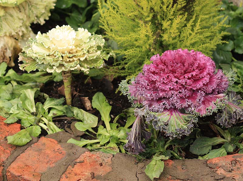 [coachhousetrust+bed.jpg]