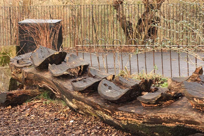 [carved+trunk+bench.jpg]