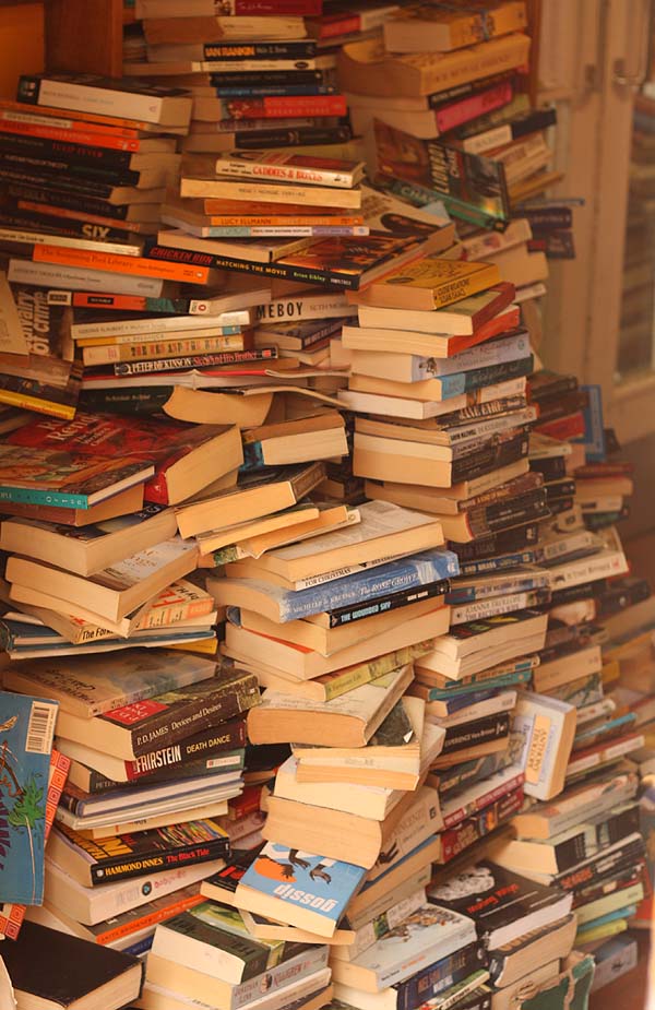 [pileofbooks.jpg]