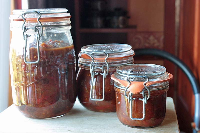 [tomatocelerychutney.jpg]