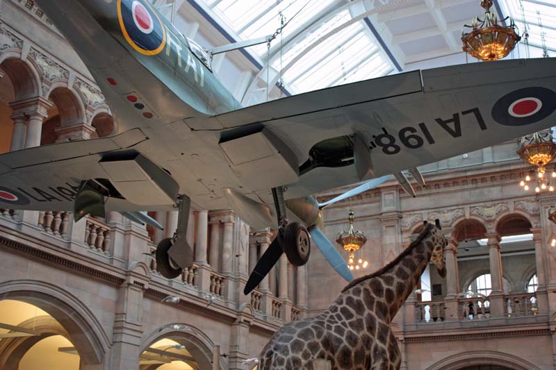 [curious+juxtaposition.jpg]