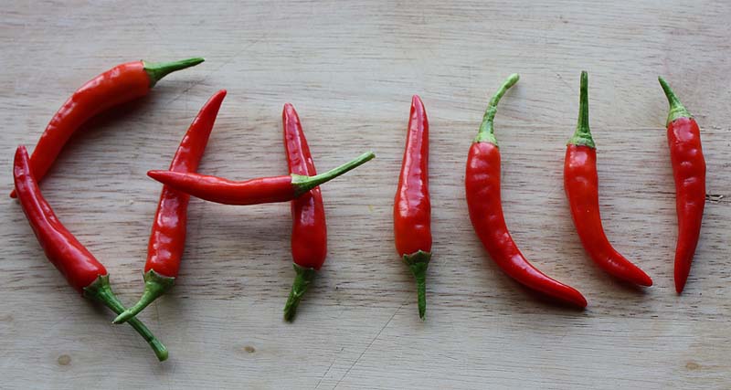 [chilli.jpg]