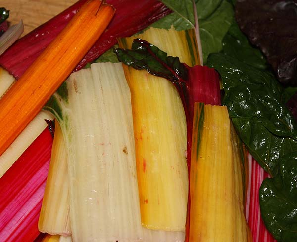 [chard+stalks.jpg]