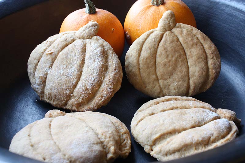 [Squash+Scones1.jpg]