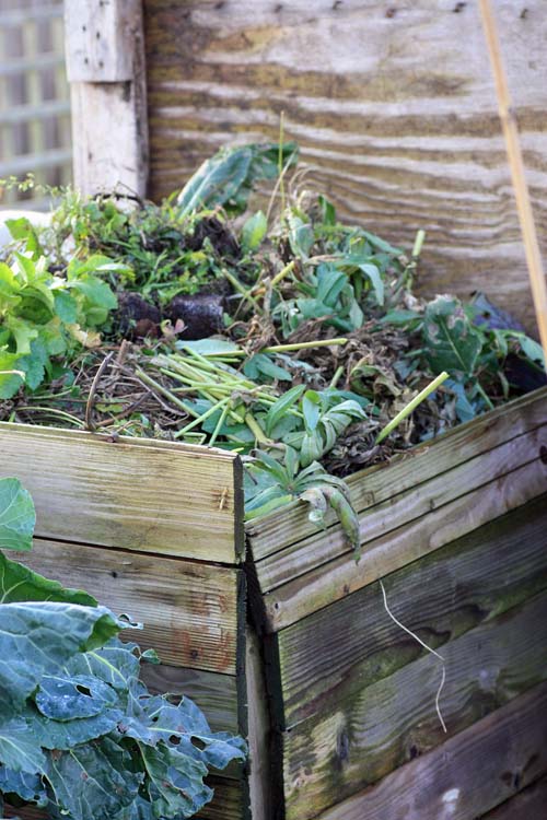 [overflow+compost+bin.jpg]