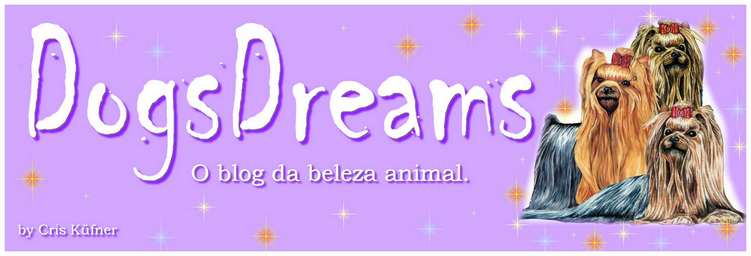 Dogs Dreams