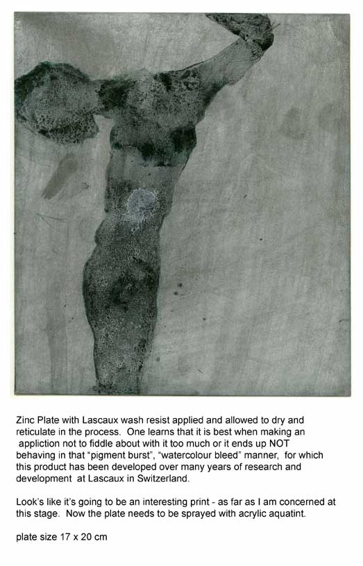 Printmaking Art + Aine Scannell's Blog Lascaux Wash Resist on Zinc