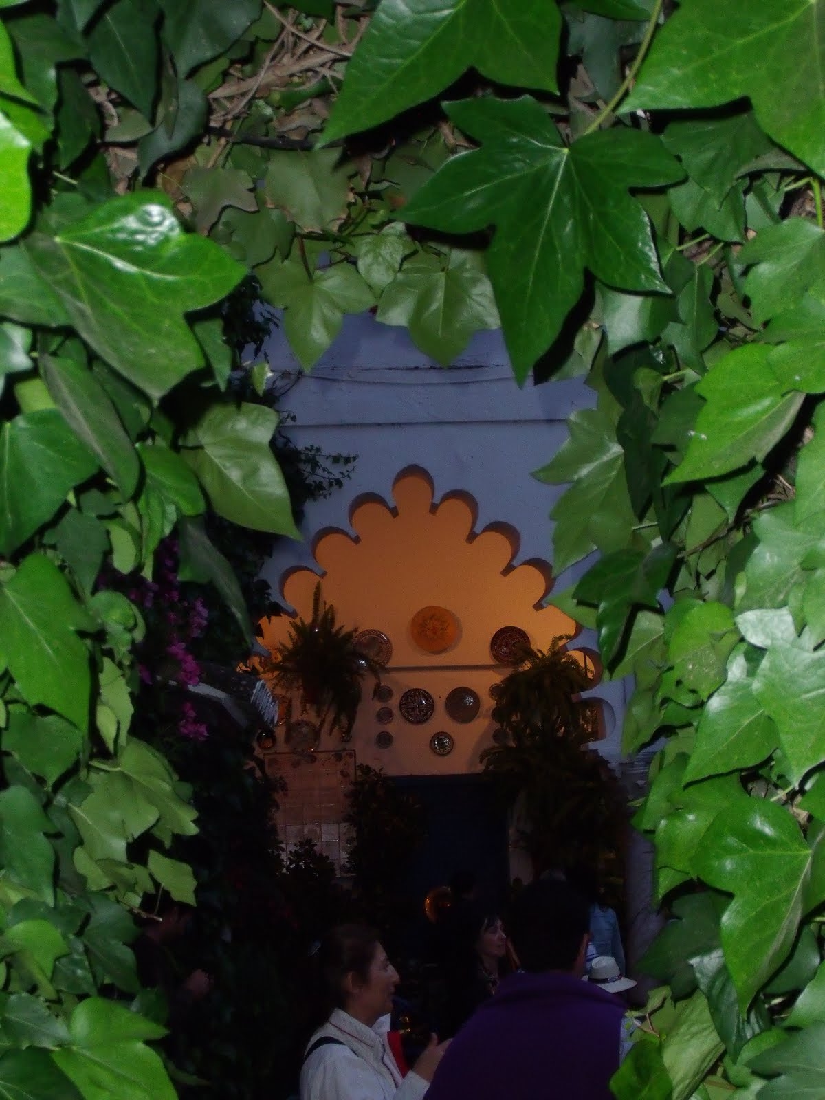 TRACYCORRECAMINOS: PATIOS PASADOS POR AGUA