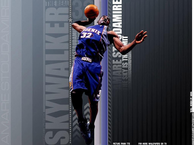 amare stoudemire. flying of amare stoudemire