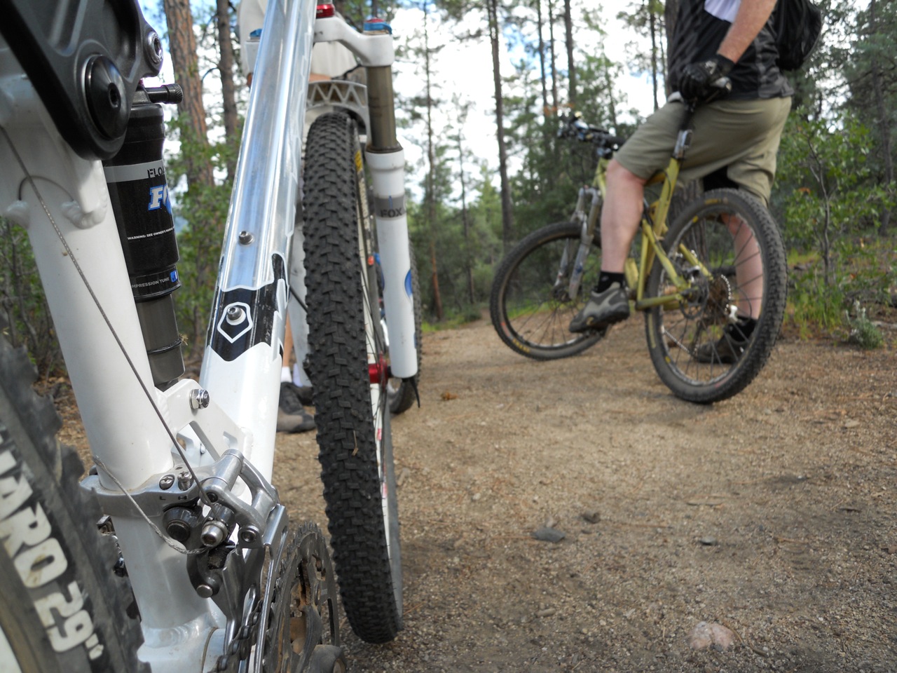 prescott bike trailer