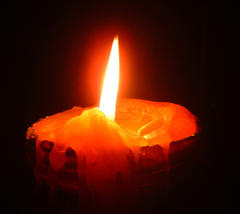 [vela.jpg]