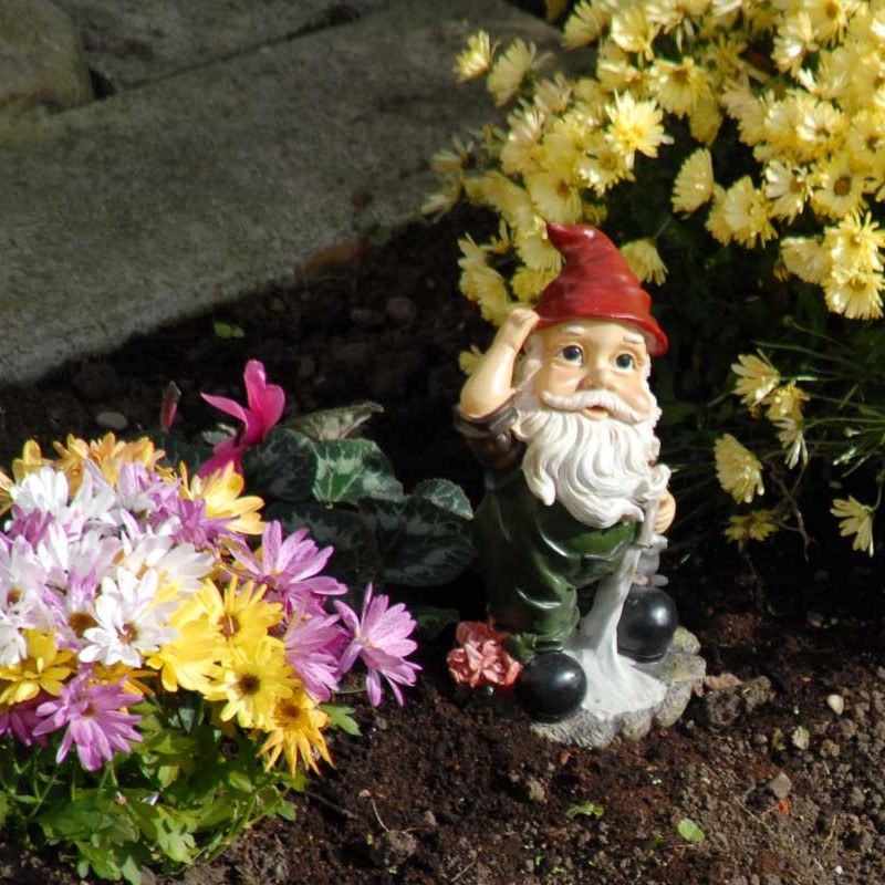 Gosto Disto! Gnomos de Jardim Garden Gnomes