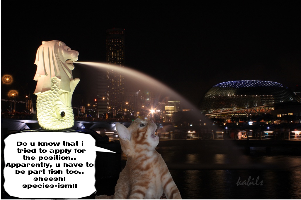 [merkitty+2.1.1.jpg]