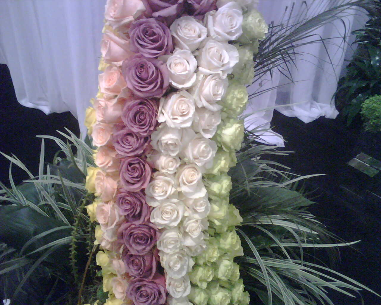 [IMG00044.jpg]