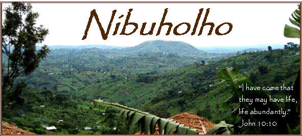 Nibuholho