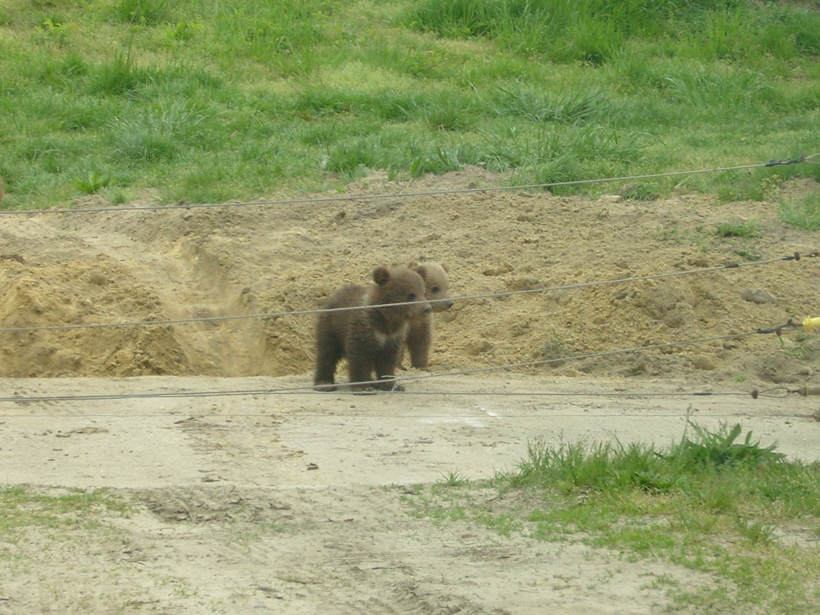 [Ziaristi+independenti.JPG]