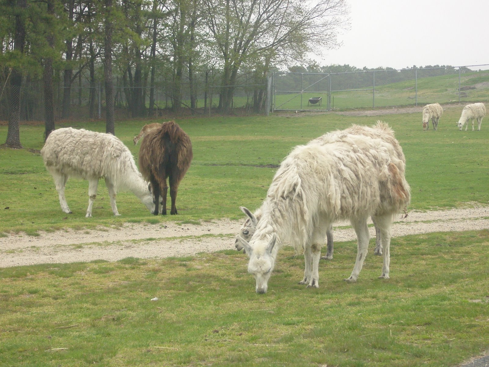 [Electoratul+feminin.JPG]