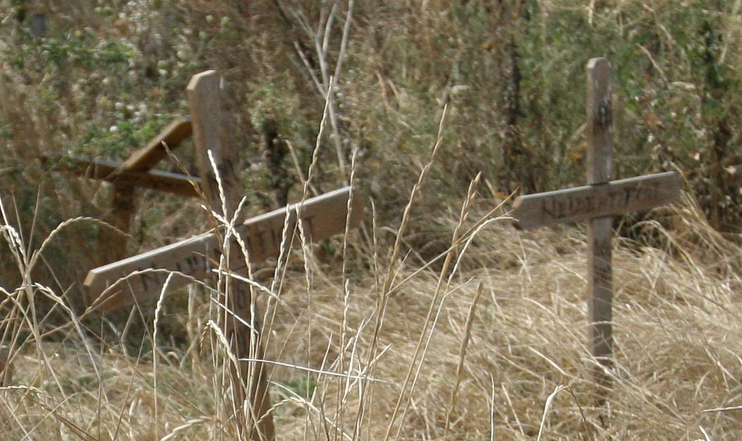 [Cimitir+morti+13-15+iunie+1990+neidentificati.jpg]