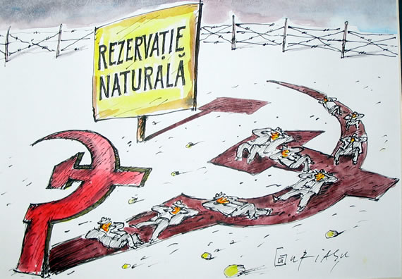 [comunismul+rezervatie+naturala+uriasu+gheorghita+ghinea.jpg]