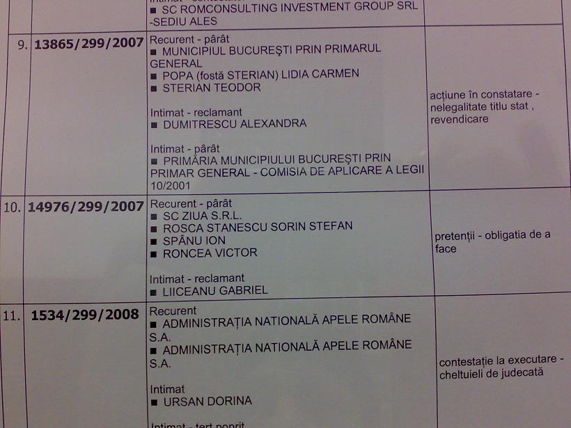 [proces+liiceanu+roncea+rosca+ziua.jpg]