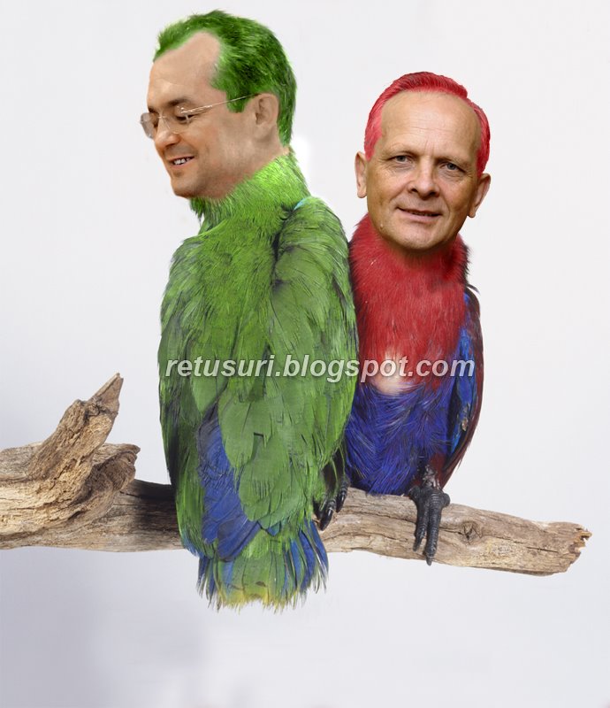 [bos-si-stolo-papagali+fsn+udmr.jpg]