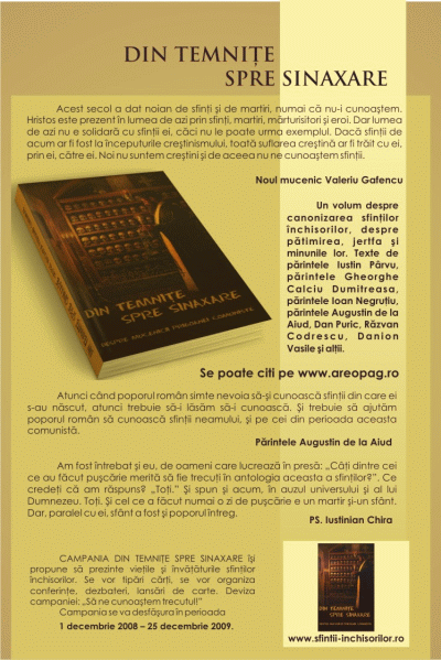 [revista-danion.gif]