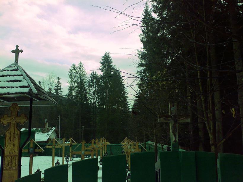 [Cimitir+Manastirea+Petru+Voda+Parintele+Calciu.JPG]