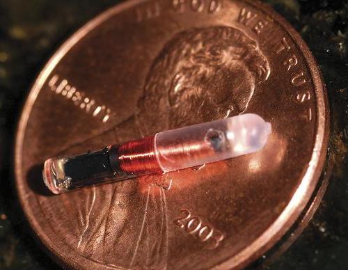 [Cip+666+biometric.JPG]