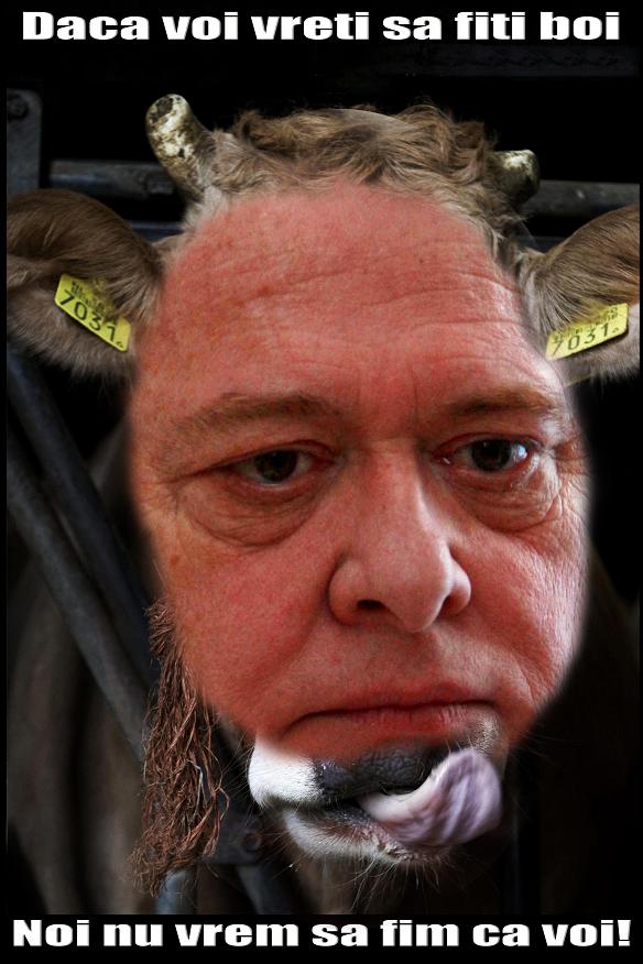 [Viorel+Hrebenciuc+PSD.JPG]