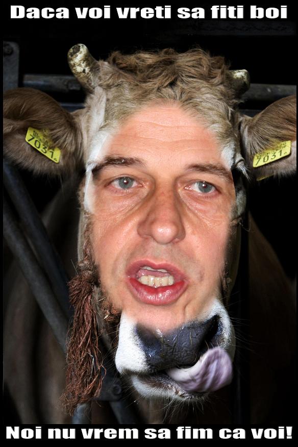 [Mircea+Geoana+PSD+CIP.JPG]