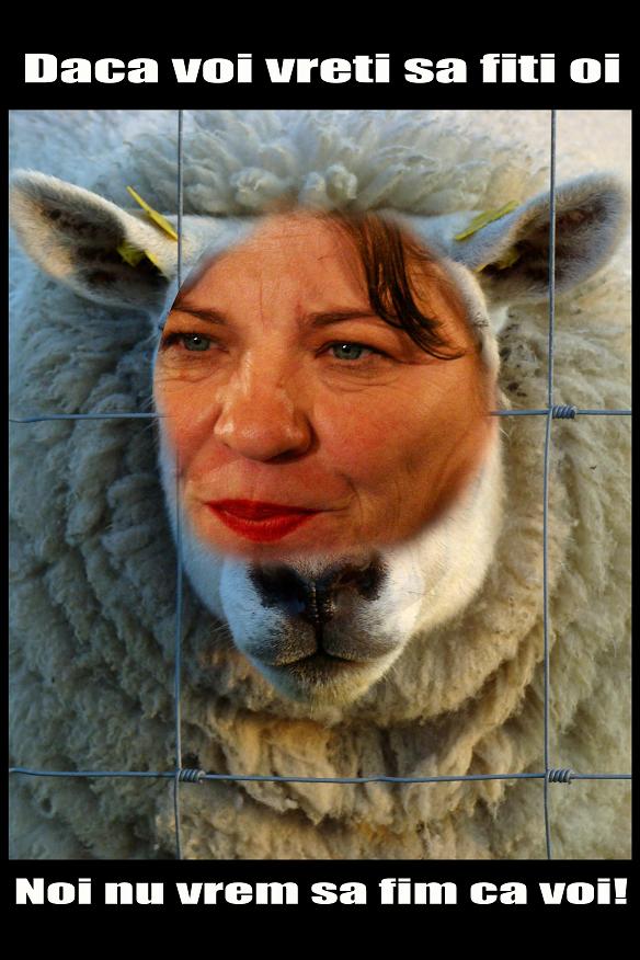 [Norica+Nicolai+PNL+CIP.JPG]