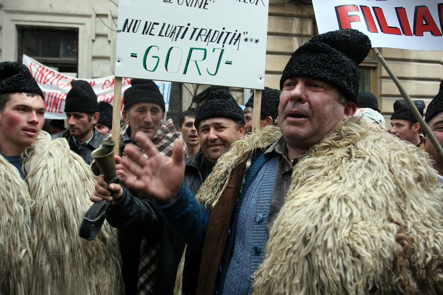 [Protest+Bucuresti+Ciobani.jpg]