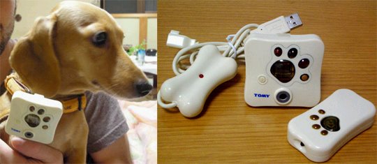 [dog+camera+finder+rfid.bmp]