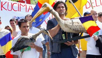 [2004-09-24-Demonstratie+Civic+Media+in+Bucuresti+-+blog+Roncea.jpg]