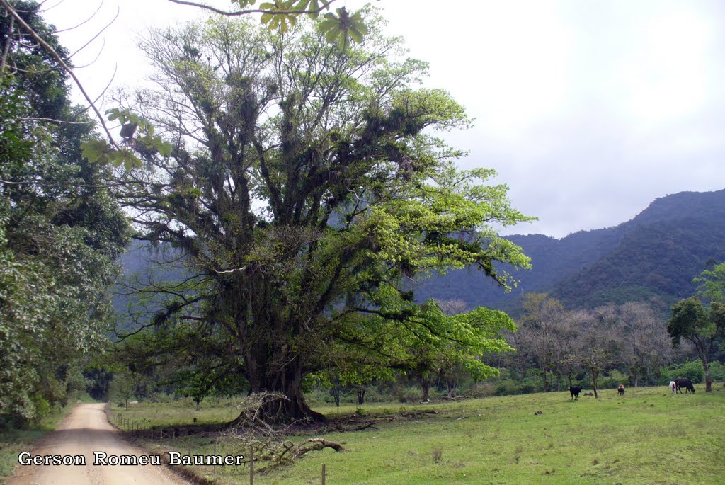 CICLO ROTAS: Rancho Bom - Schroeder SC