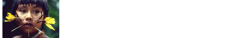 Paje Online