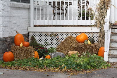 Life At Willow Cottage: Autumnal Window Box & Pumpkins