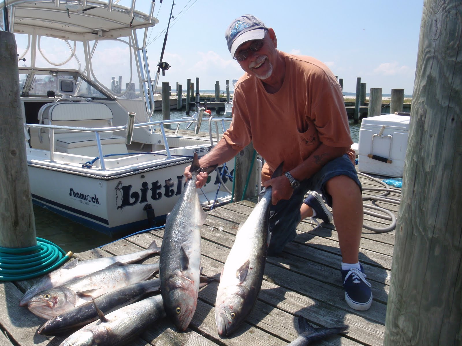 FishWach Wachapreague Fishing Report Bluefish
