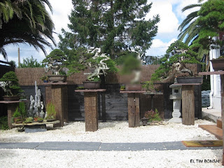 kingii: un nuevo jardín para Vila