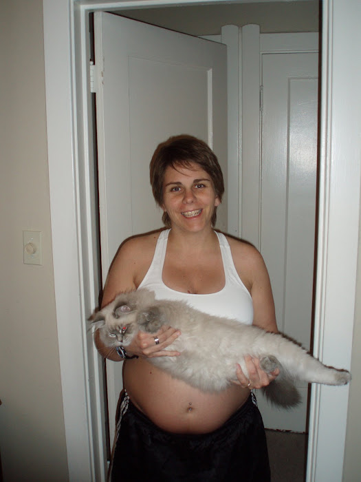 22 weeks with Loki