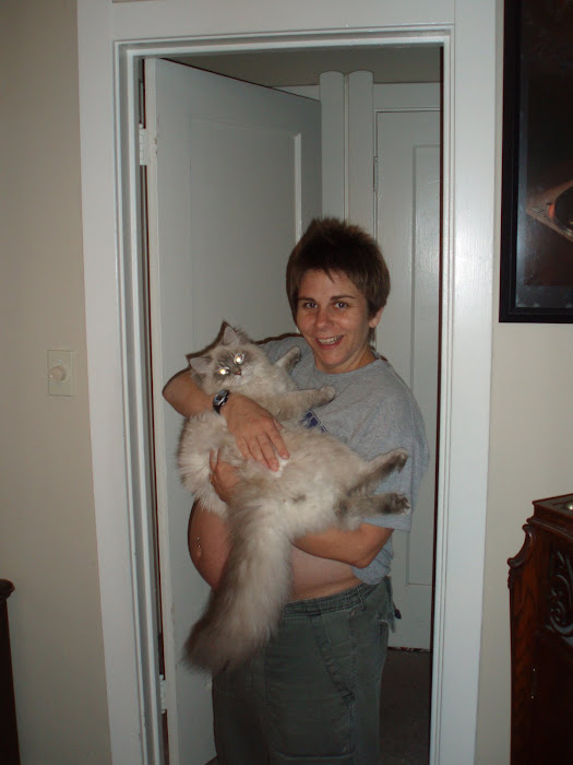 32 weeks with Loki
