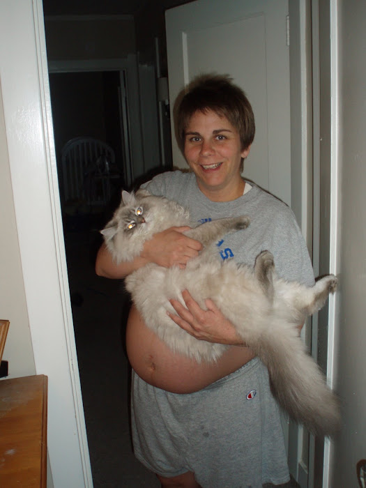 34 weeks with Loki