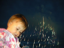 fireworks at the fair
