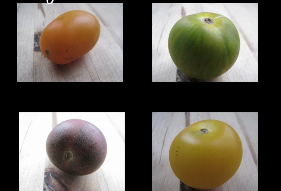 Spicy Tasty Crispy Mange des tomates mon amour... Spicy Tasty Crispy Mange des tomates mon amour...