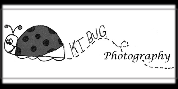 KTBug Photography